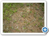 DSCN0096